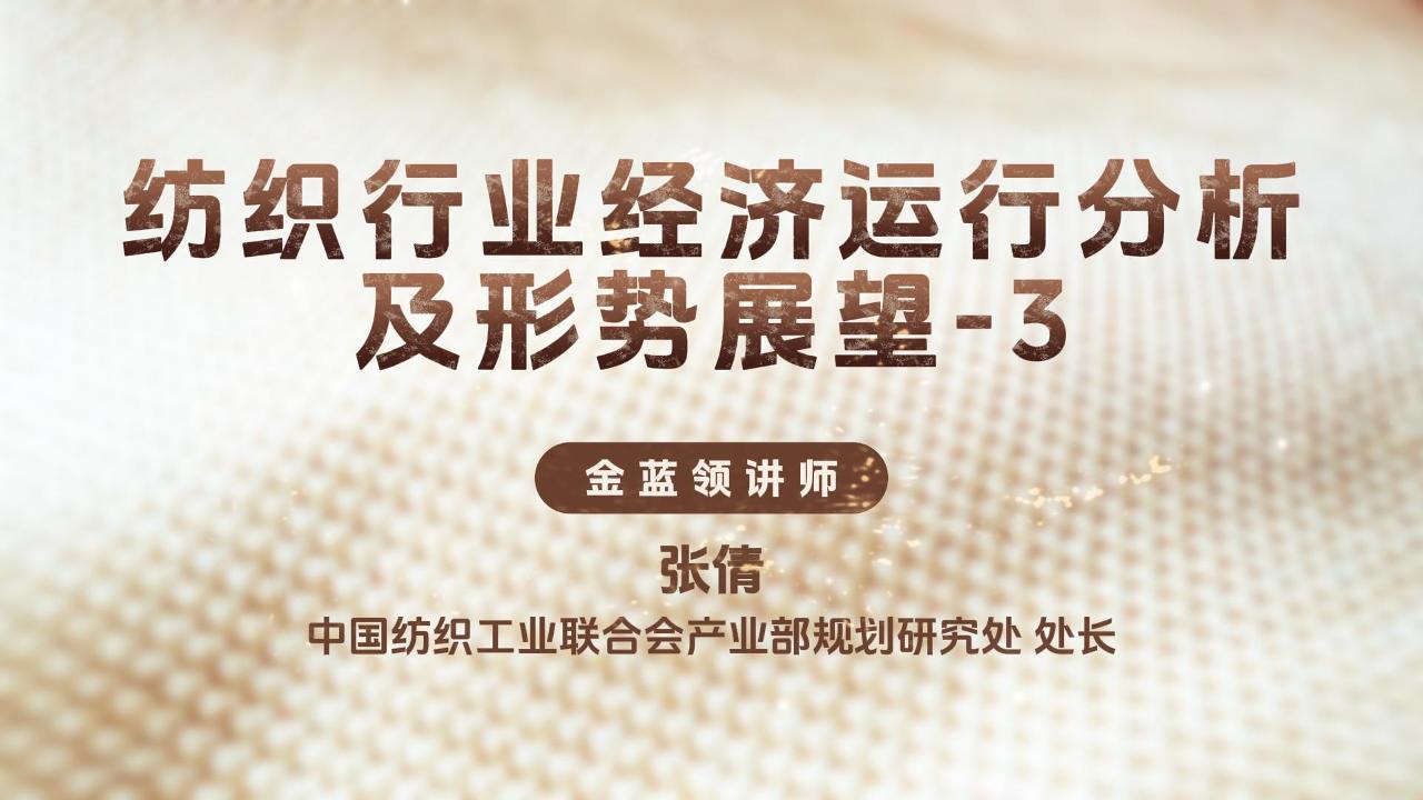 第三节:纺织行业经济运行分析及形势展望—张倩